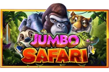 dm999 com Myanmar Online Gaming Platform ကျွန်ုပ်တို့အကြောင်း